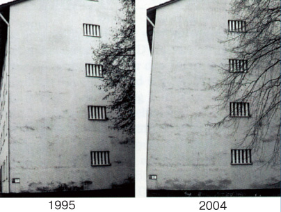 Западная торцевая стена объекта 31 через 14 (слева) и 23 (справа) года после ремонта в 1981 году с образованием водорослей на фасаде на высоте фундамента, а также вдоль горизонтальных полос, появление которых обусловлено неправильностями в структуре штукатурки в связи с рабочими уровнями лесов. Дерево заметно выросло; обрастание водорослями осталось в основном неизменным при небольшом увеличении в верхней части фасада