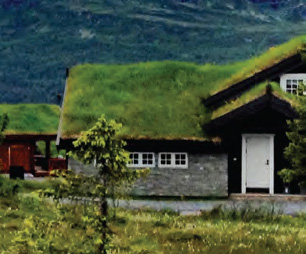 Зелёная крыша индивидуального дома