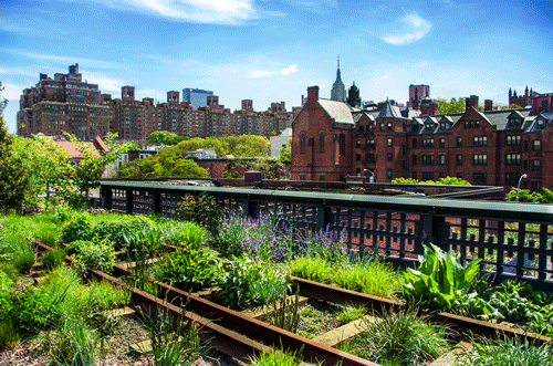 Железная дорога High Line