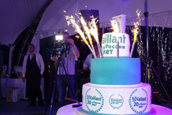 VAILLANT: 20 лет успеха в России