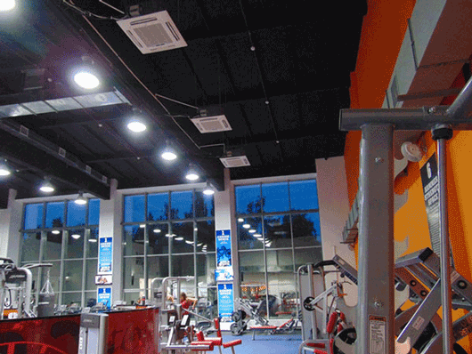 Оборудование MDV в лучшем фитнес-клубе всемирной сети World Gym
