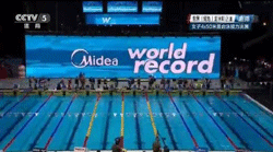 Компания Midea выступила официальным партнером Чемпионат мира-2016 по плаванию на короткой воде