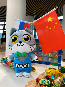 BDR Thermea China