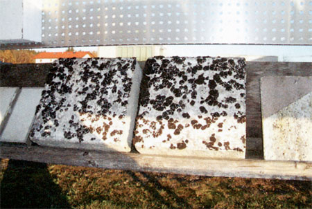 Экспериментальный фрагмент теплоизоляционного фасада, установленный с отклонением от вертикали примерно на 30°, ориентированный на запад, через 12 лет после установки