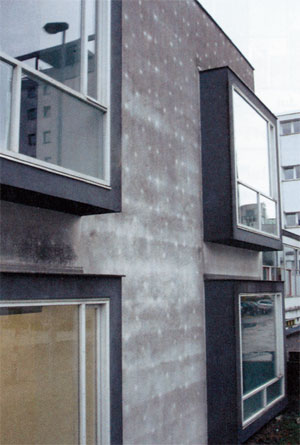 «Эффект леопарда» – узор на фасаде здания – однозначный признак микробиологического обрастания из-за образования конденсированной воды на поверхности фасада