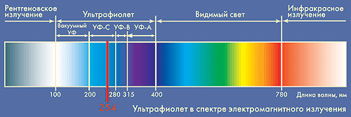 Электромагнитные волны видимого света имеют большую